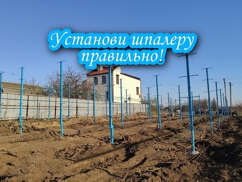 Видео: Установка шпалеры для винограда. Весна 2020 год!