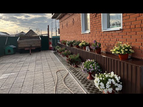 Видео: Приготовили теплицу к новому сезону// печем печенье с творогом//💁🔥