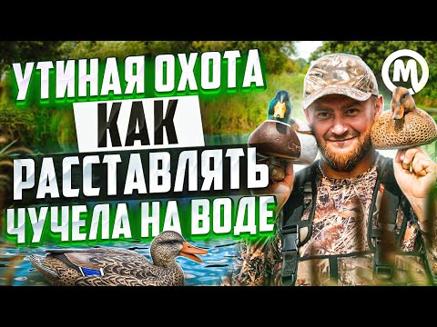 Видео: Утиные истории! Как расставлять УТОК на воде?