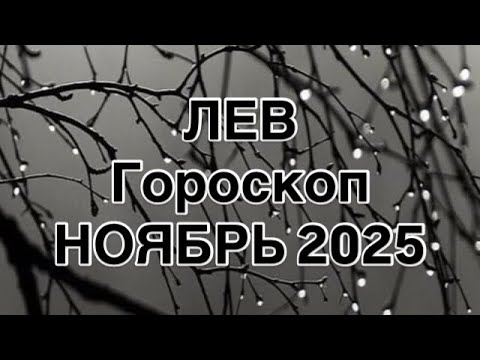 Видео: ЛЕВ   - ГОРОСКОП  НА НОЯБРЬ  2025  |УДАЧА  |  ЛЮБОВЬ | РАБОТА | ФИНАНСЫ | ОТ NATALLIA MARKOWSKA
