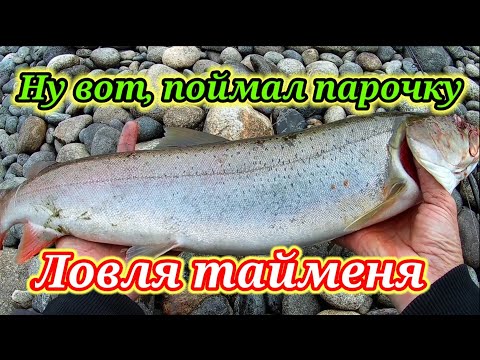 Видео: Не зря ехал по бездорожью ☝Ловля тайменя на реке Бия на спиннинг.