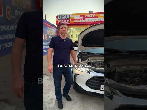 Видео: 3 ноября 2025 г.