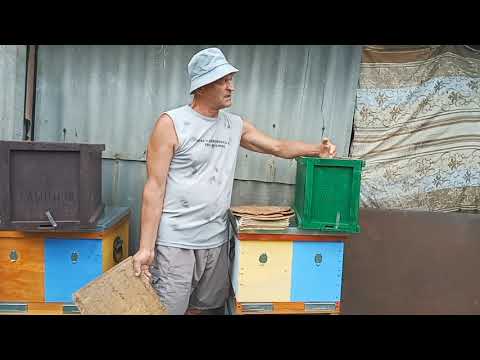 Видео: Ловля роёв Обзор ловушек