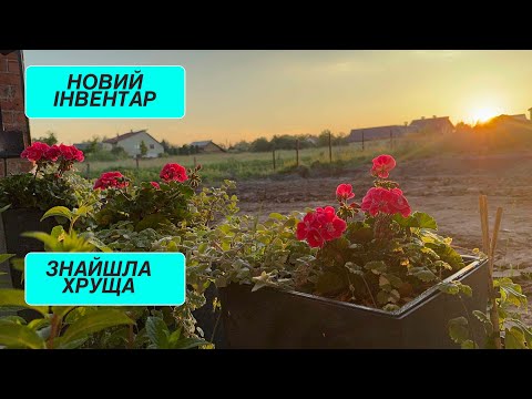 Видео: Суботні РОЗВАГИ - Пересаджую РОДОДЕНДРОНИ