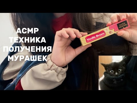 Видео: АСМР ТЕХНИКА ДЛЯ ПОЛУЧЕНИЯ МУРРРАШЕК || ASMR FOR SLEEP || быстрый Lofi асмр 