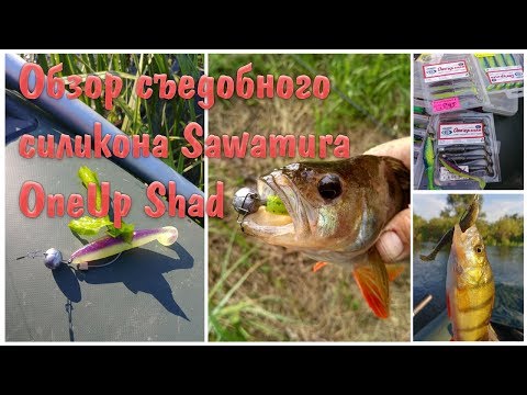 Видео: Обзор съедобного силикона Sawamura One UpShad
