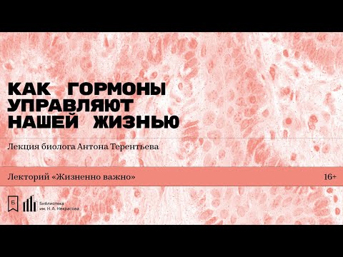 Видео: «Как гормоны управляют нашей жизнью». Лекция биолога Антона Терентьева