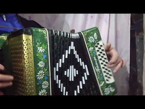 Видео: Полька на 2х голосій гармоні з Житомира