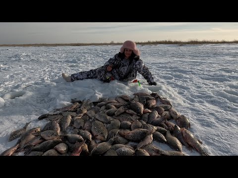 Видео: Нашли ИХ тропу, где КРУПНЯК идёт бесконечным потоком...