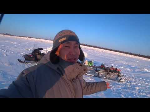 Видео: Достаю телефон за 200 тыс руб со дна реки