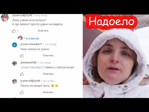 Видео: VLOG Зачем такое делать