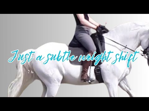 Видео: Как попросить галоп только с помощью седалищных костей (сделайте идеальный переход в галоп!)