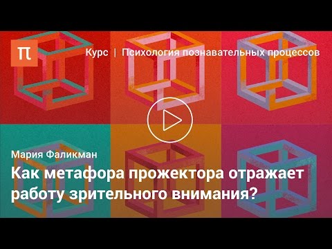 Видео: Метафоры и модели внимания в когнитивной психологии - Мария Фаликман