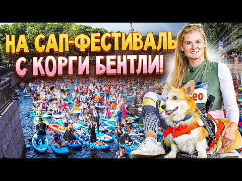 Видео: Фонтанка SUP с Анжеликой и корги Бентли!