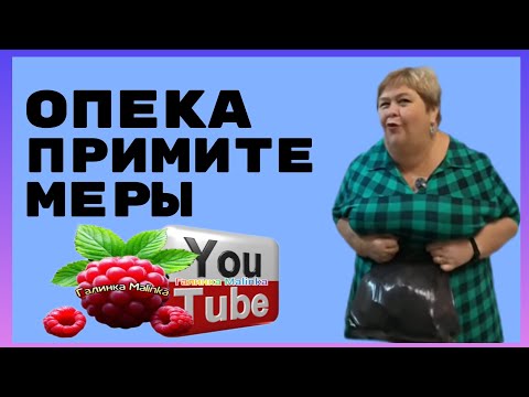 Видео: Ольга Уралочка /Опека примите меры /Обзоры /Ольга Уралочка live/