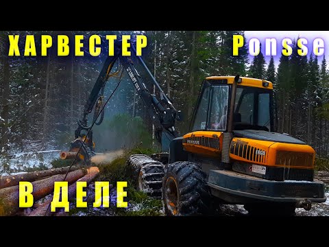Видео: Заготовка леса Комплексом Ponsse  Работа харвестера Ponsse ERGO в лесу валка леса