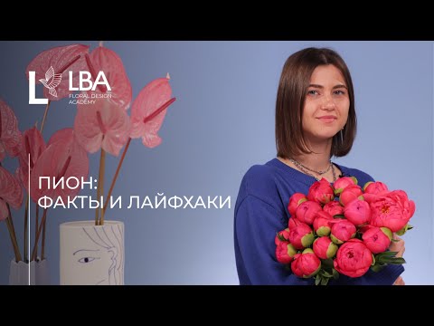 Видео: КАК РАСКРЫТЬ ПИОН | УХОД И ХРАНЕНИЕ | СОВЕТЫ LBA