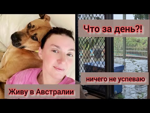 Видео: Живу в Австралии. Что за день такой?Ничего не успеваю.#австралия #жизненныеистории