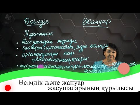 Видео: Өсімдік және жануар жасушаларының құрылысы. 7 сынып.