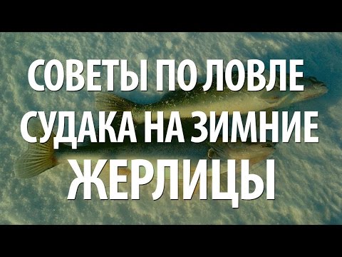 Видео: ЗИМНЯЯ РЫБАЛКА - ЛОВЛЯ СУДАКА НА ЗИМНИЕ ЖЕРЛИЦЫ