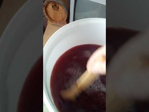 Видео: Осветление вина желатином