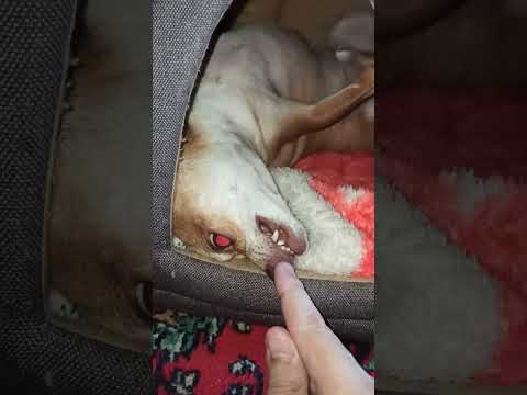 Видео: 17 июля 2023 г.