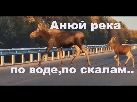 Видео: Анюй, светящиеся скалы, сплав, рыбалка, вид сверху, окт 2023