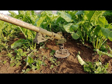 Видео: Насадка для прополювання грядок (скоро появиться в магазинах з інструментом)