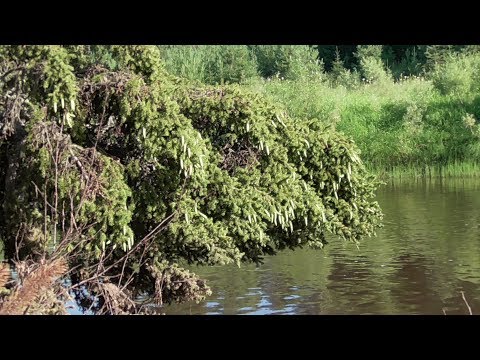 Видео: Поход Первая изба. Сенокос 1/4 часть