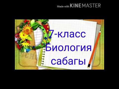 Видео: Жаныбарлар жөнүндө жалпы маалымат