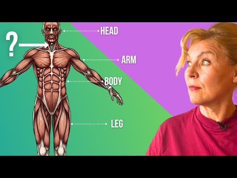 Видео: Тело человека за 10 минут | Английский с нуля до уровня A1. 23 урок