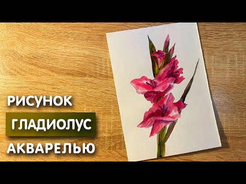 Видео: Как нарисовать гладиолус карандашом и акварелью начинающим | Рисунок для детей