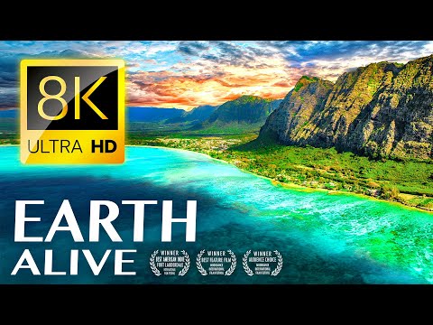 Видео: ЗЕМЛЯ ЖИВАЯ 8K ВИДЕО ULTRA HD