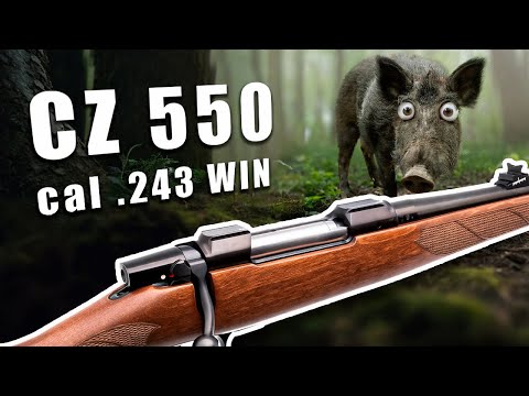Видео: CZ 550 ➕  243 WIN — обзор идеального карабина для средней дичи