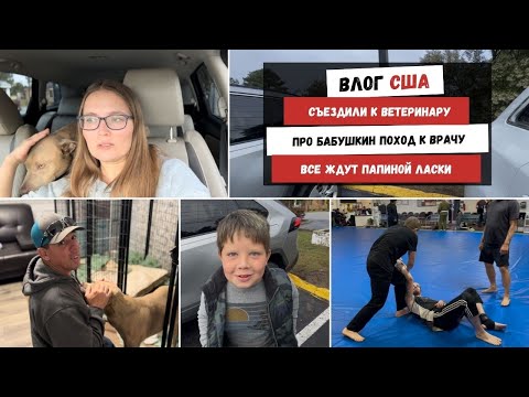 Видео: Съездили к Ветеринару | Про Бабушкин Поход к Врачу | Все Ждут Папиной Ласки | Наша Жизнь в Штатах