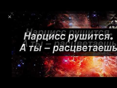 Видео: Что происходит, когда Нарцисс впервые проигрывает