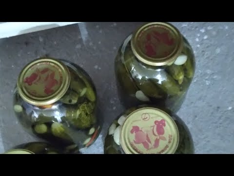 Видео: Мухлисам учун ролик🌷