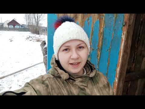 Видео: Переезд в деревню. Переделали курятник в сарайчик. Кто в нем поселится?