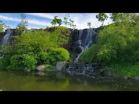 Видео: Студенческий городок ДВФУ. Walks in Vladivostok .Campus. Набережная ДВФУ.
