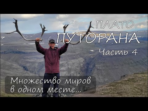 Видео: Плато Путорана, ч 4