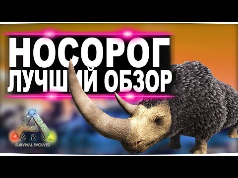 Видео: Шерстистый носорог (Woolly Rhino) в АРК.  Лучший обзор: приручение, разведение и способности в ark