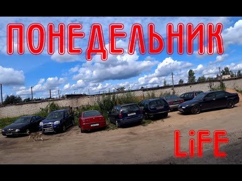 Видео: Когда понедельник зло. LiFE