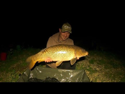 Видео: Великі Коропи На Велику Наживку