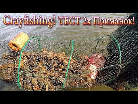 Видео: Рак! Корень Хрена Против Чеснока! Продолжение Теста 2!