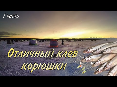 Видео: Отличный клёв корюшки / I часть  / Excellent bite smelt / I part