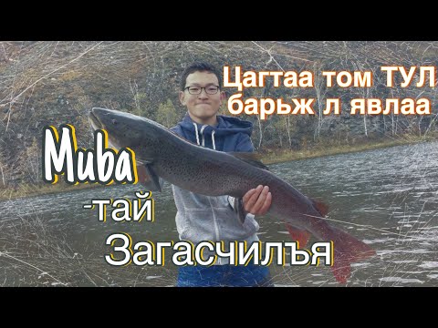 Видео: Цагтаа том 🎣ТУЛ 🎣барьж л явлаа. Мөба-тай Загасчилъя [Fishing in Mongolia with Muba]