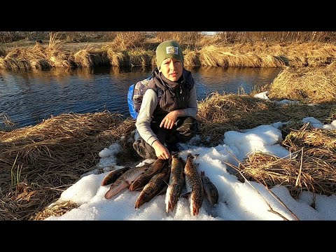 Видео: ВОТ И ЛЕТНЯЯ РЫБАЛКА 23 ОТКРЫТА НА ПОПЛАВОК! ВЕСНА ТЕПЛО НА ОТКРЫТЫХ РУЧЬЯХ ПОЯВИЛИСЬ ЩУЧКИ И ОКУНИ!