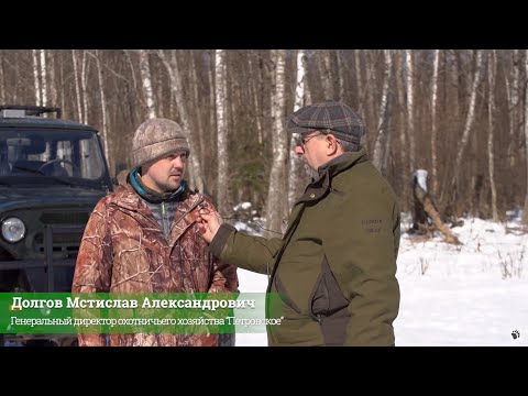 Видео: Зубры охотничьего хозяйства «Петровское»