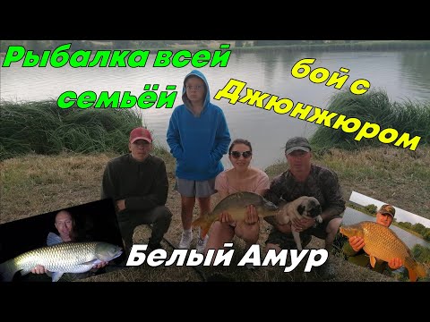 Видео: Рыбалка всей семьёй, бой с Джюнжюром, Белый Амур!