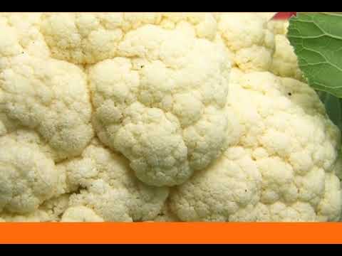 Видео: СЕКРЕТЫ выращивания  ЦВЕТНОЙ КАПУСТЫ и БРОККОЛИ